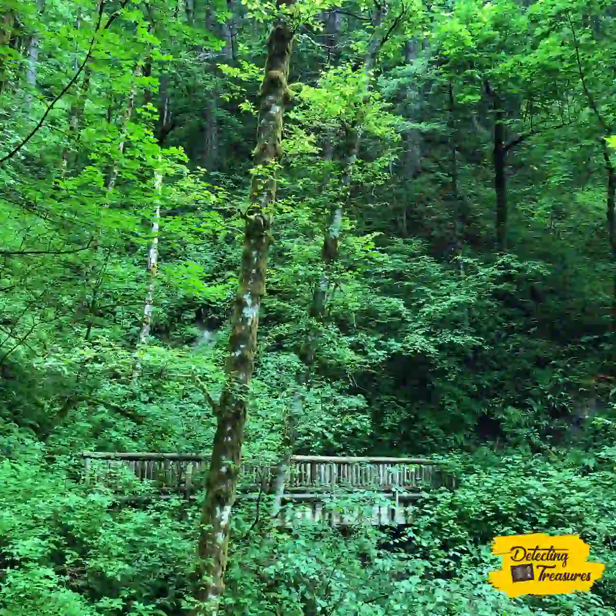 Beacon Rock State Park Washington