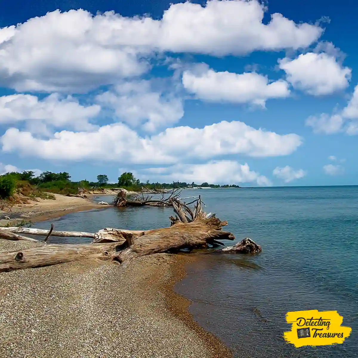 Illinois Beach State Park