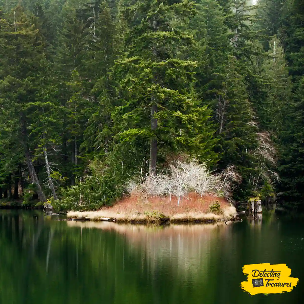 Lake Sylvia State Park Washington