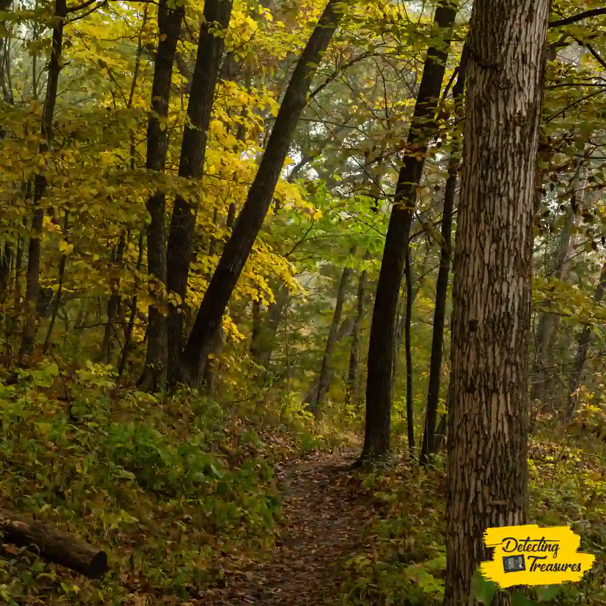 Mississippi Palisades State Park Illinois