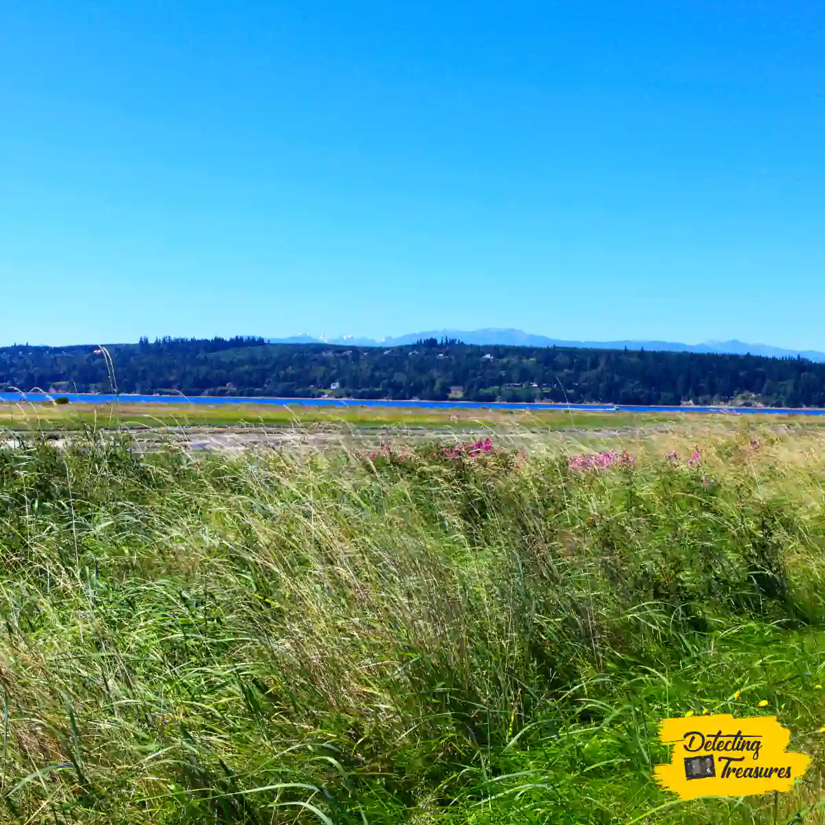 Mystery Bay State Park Washington
