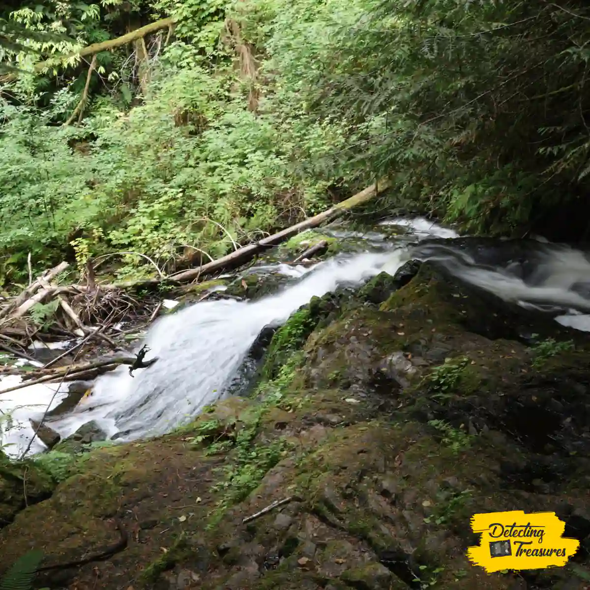 Rainbow Falls State Park Washington