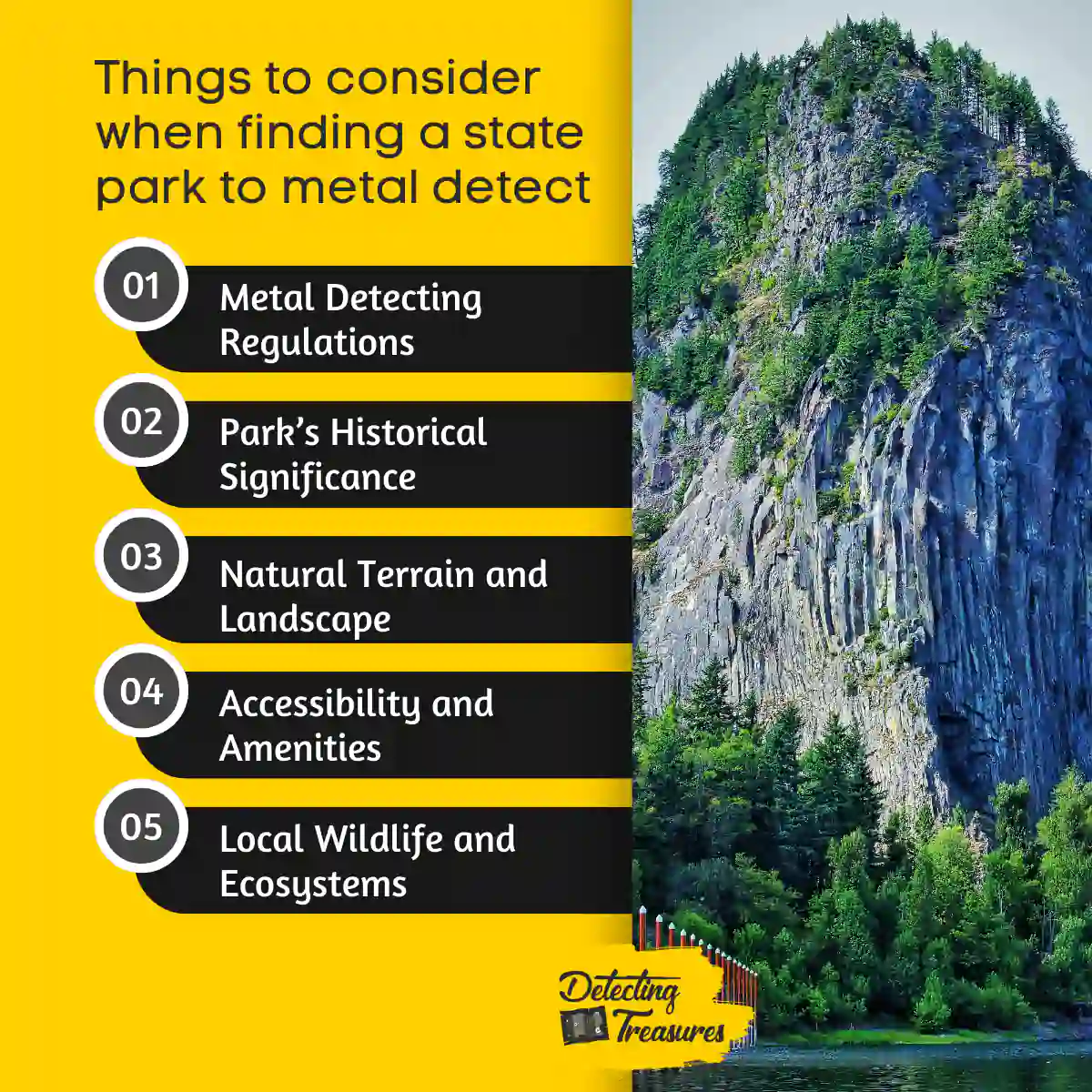 Things you should consider when finding a state park in Washington to metal detect